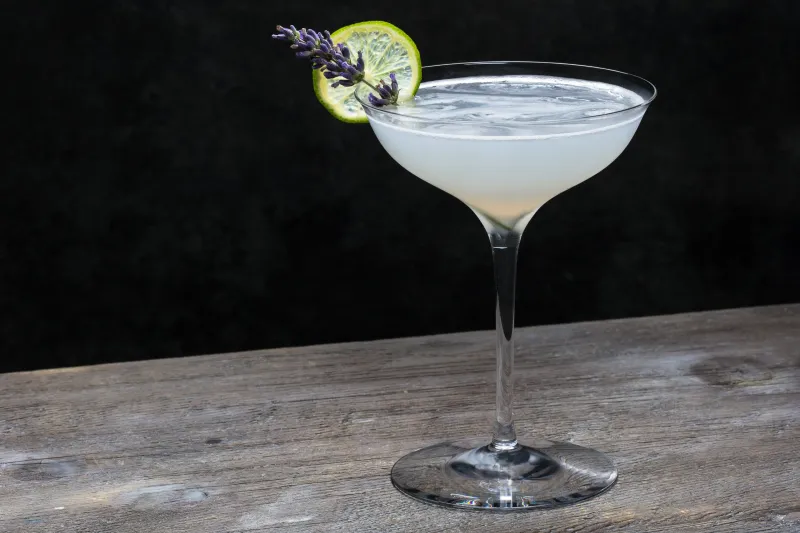 Lavender daiquiri cocktail with fresh garnish, beverage frame