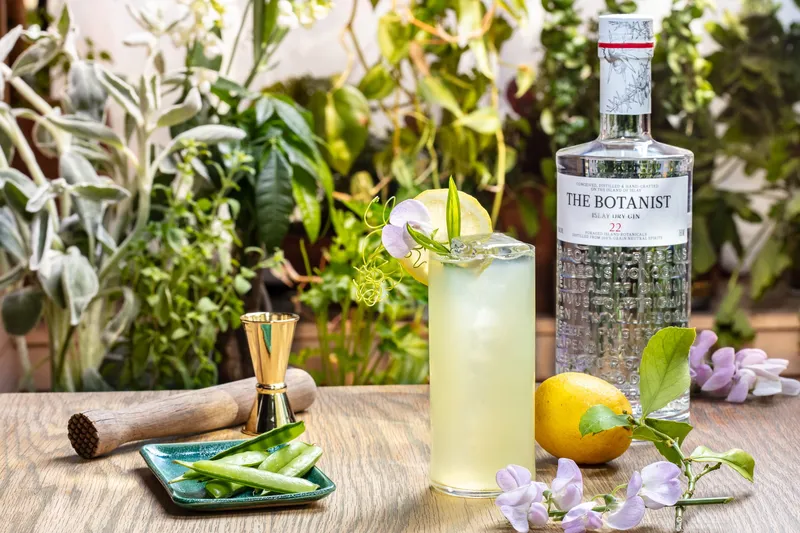 Botanical garnish cocktail, spirits advertising photograph with fresh herbs