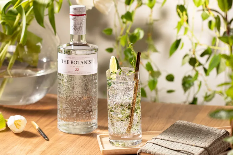 Botanist gin cocktail with citrus garnish, drinks photograph